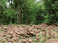 Dahner Felsenpfad 26