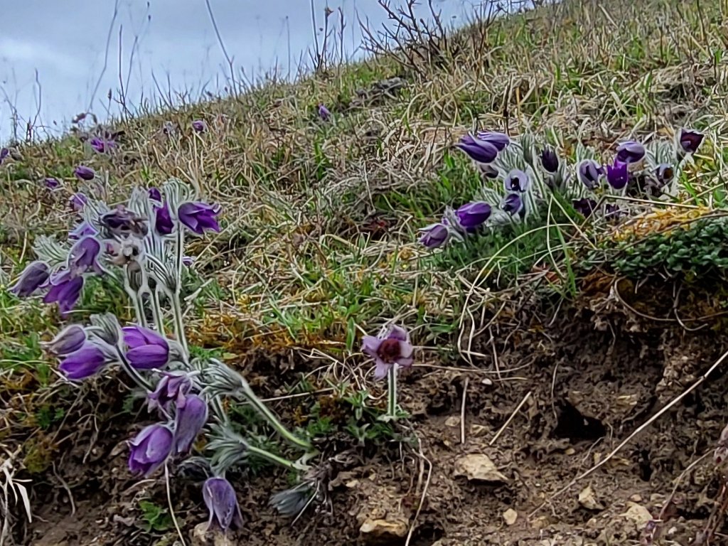 Naturerlebnis Kochhartgraben