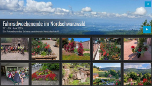Radausfahrt im Juni 2025
