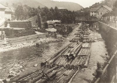 Bild aus Digitalarchiv Martin Spreng Bild aus Digitalarchiv Martin Spreng